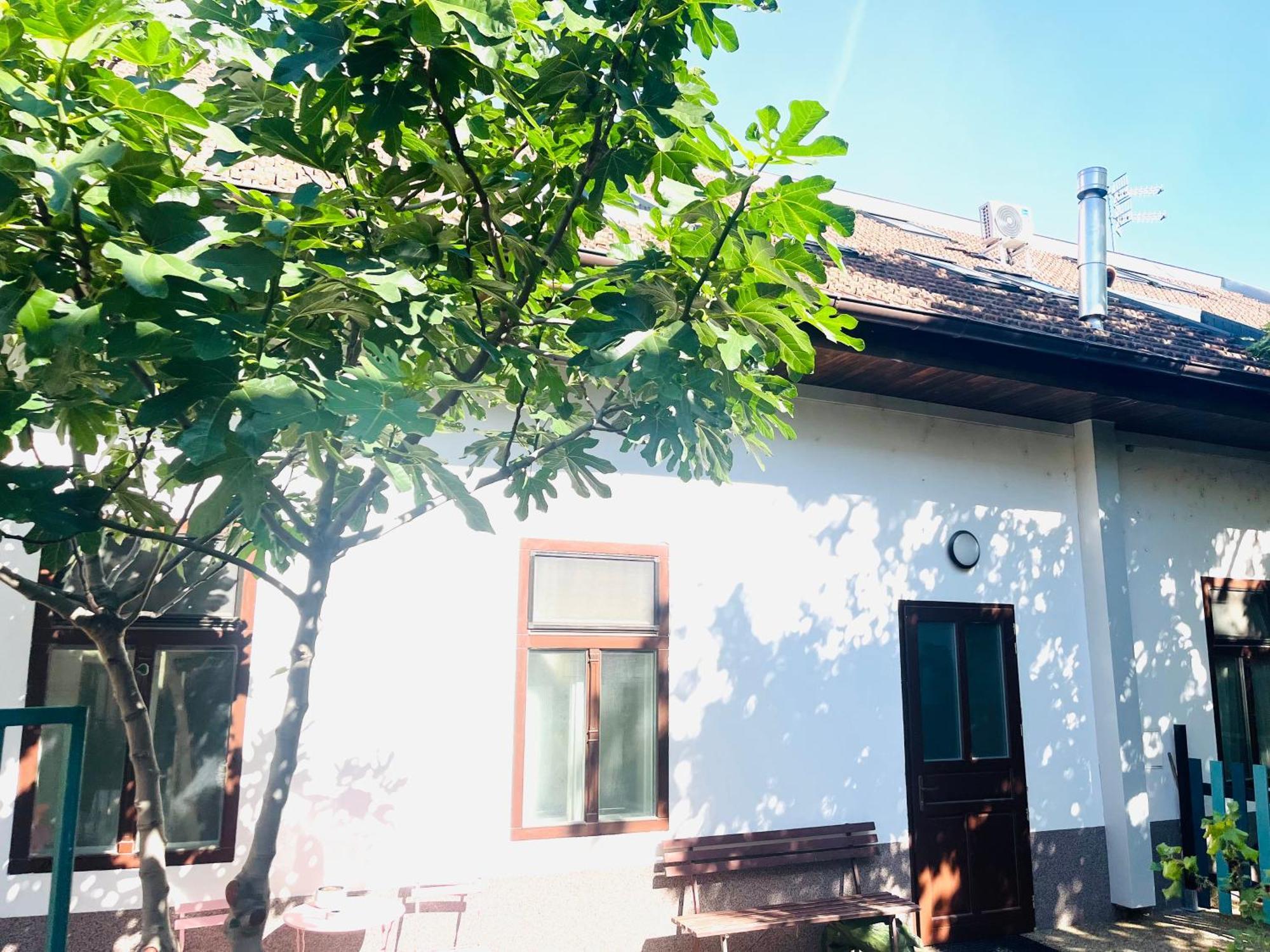 Jokai Apartman Komárno Εξωτερικό φωτογραφία